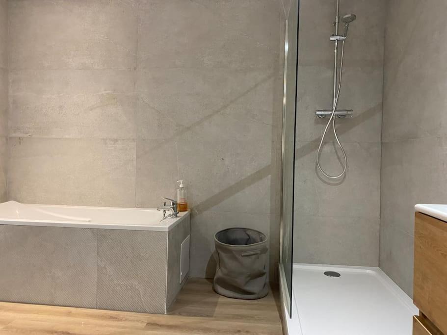 Maison Entiere 6 Personnes Jardin Terrasses Et Garage Nancy Dış mekan fotoğraf